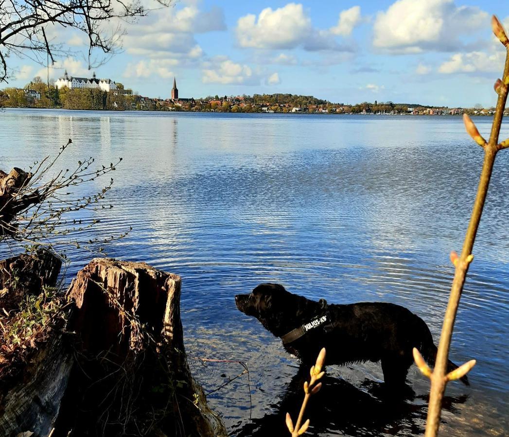 Exklusive Ferienwohnung Strohberg Plön Esterno foto